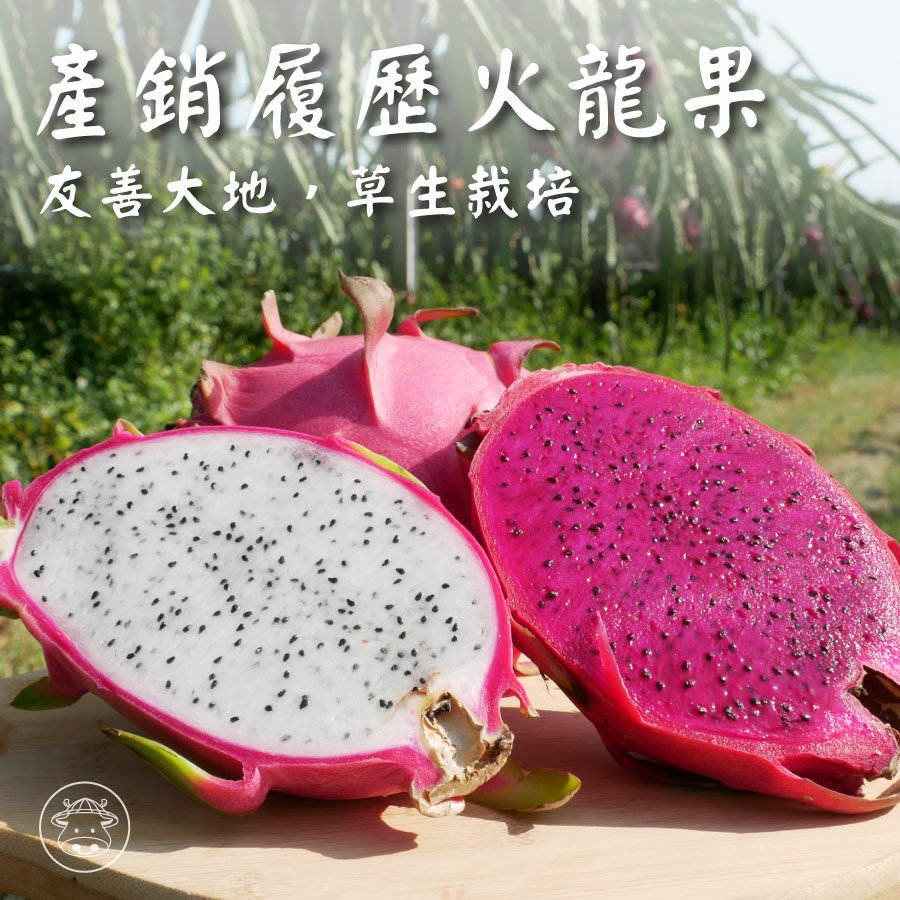 紅龍果/火龍果