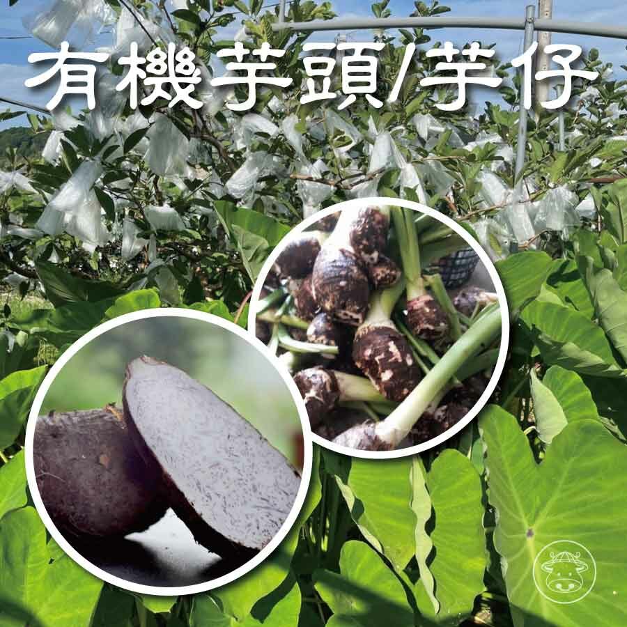 有機芋頭