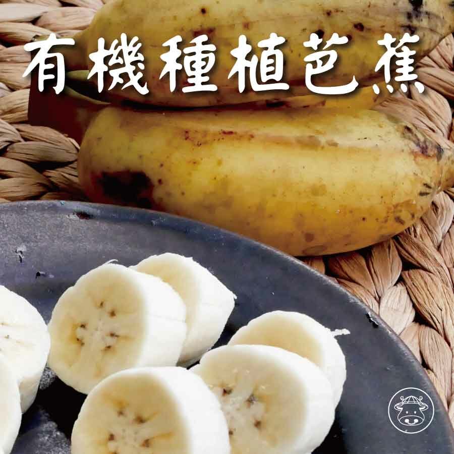 有機芭蕉