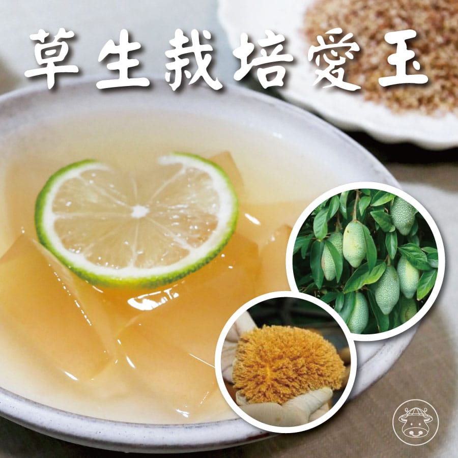 愛玉/愛玉子/愛玉籽